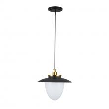 Artcraft AC11905BB - Dahlia 1 Light Pendant 15", Black