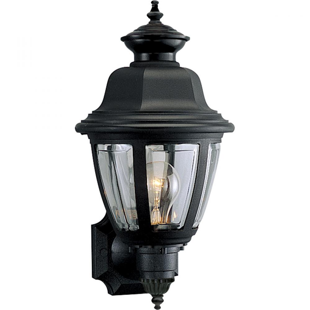 Non-Metallic Incandescent One-Light Wall Lantern