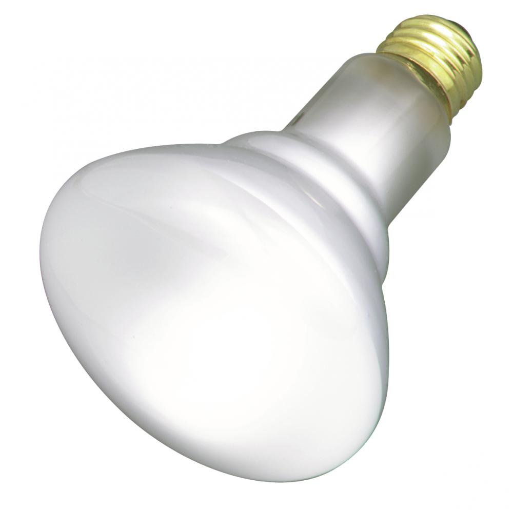 65 Watt BR30 Incandescent; Frost; 5000 Average rated hours; 532 Lumens; Medium base; 130 Volt