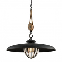 Troy F4907-FOR - Murphy Pendant